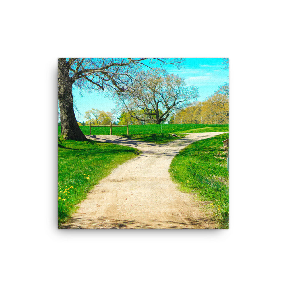 A Fork in the Road
