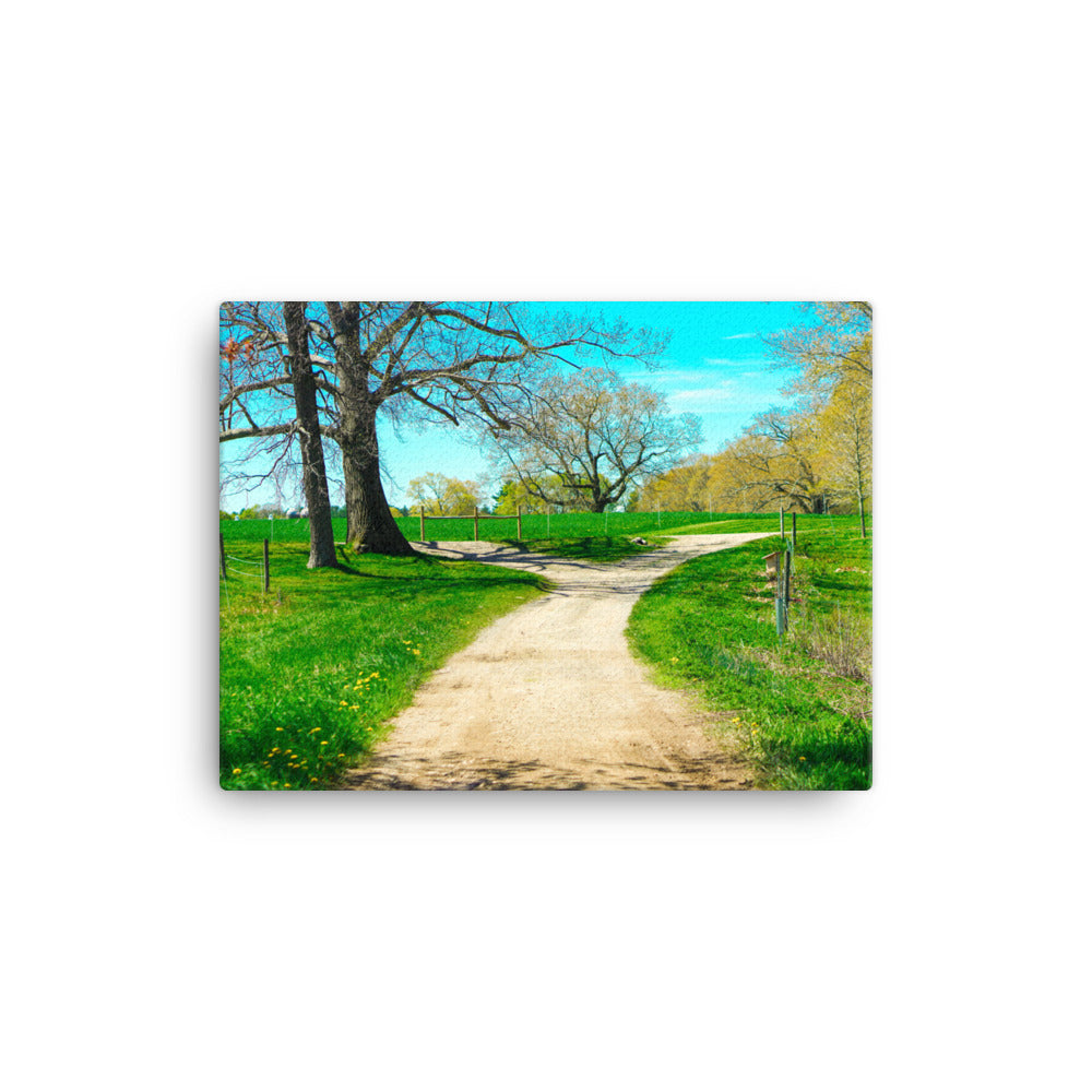A Fork in the Road