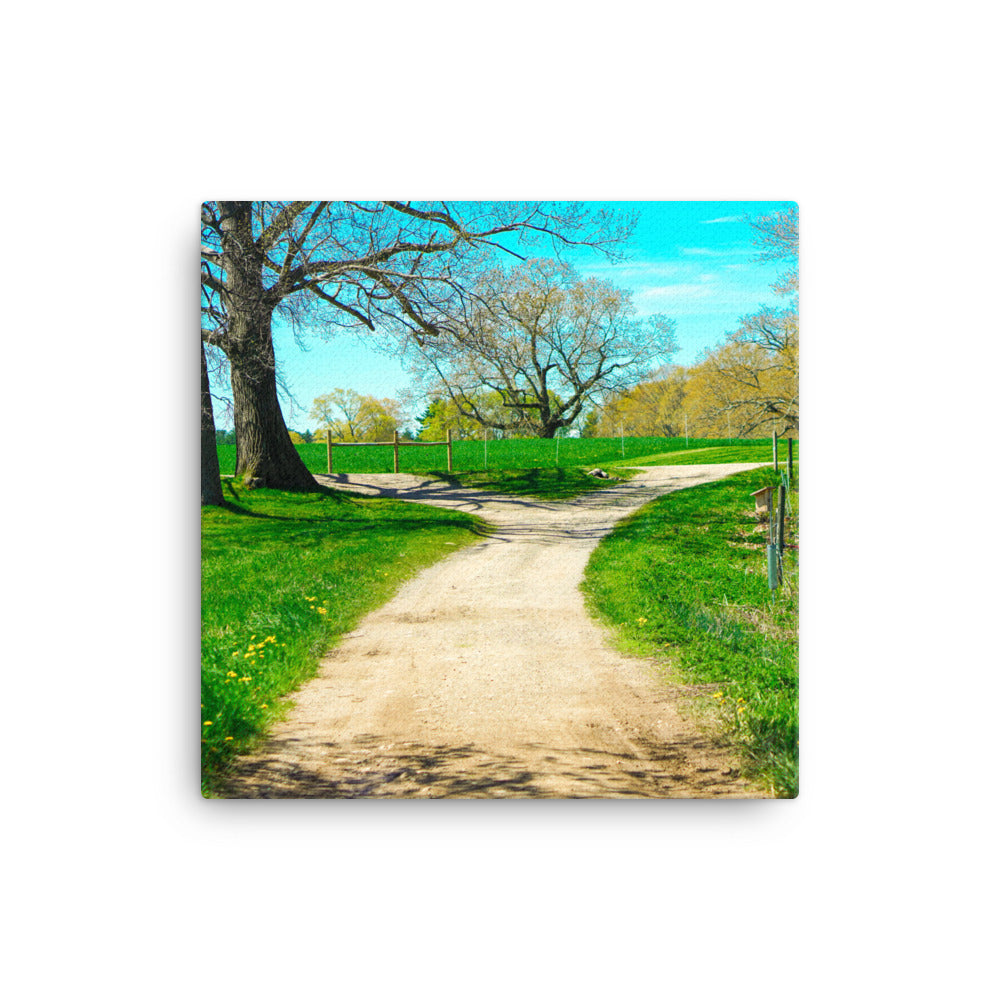 A Fork in the Road