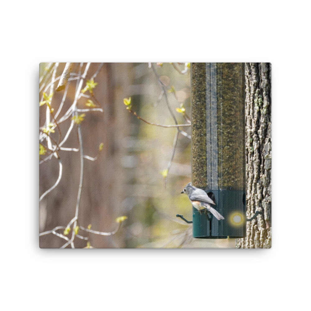 Snacking Bird