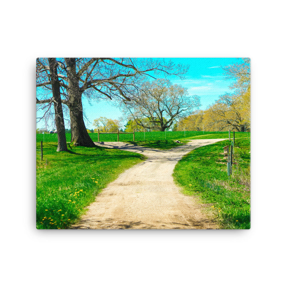 A Fork in the Road
