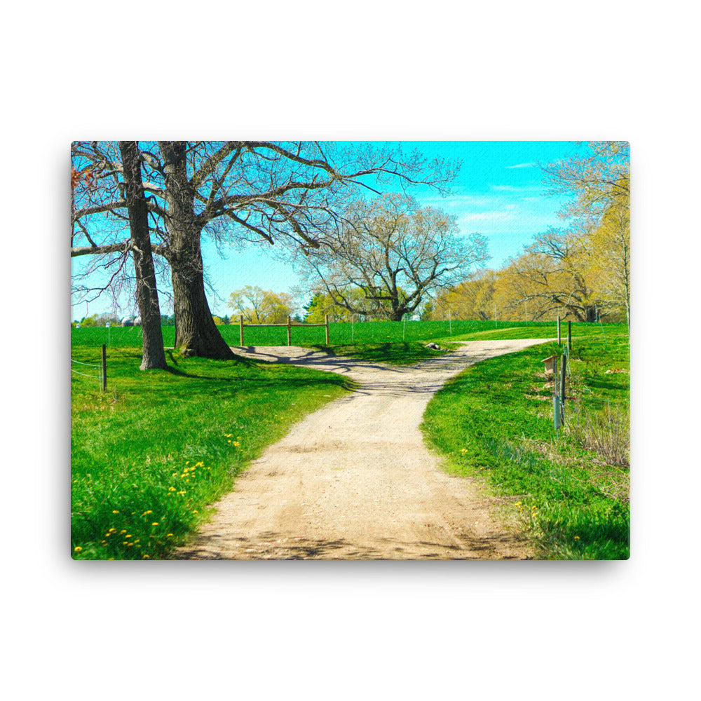 A Fork in the Road