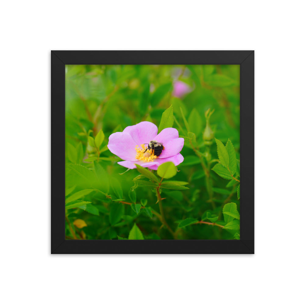 A Bee
