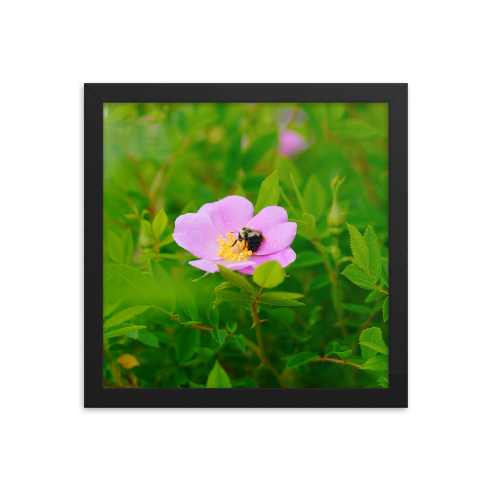A Bee