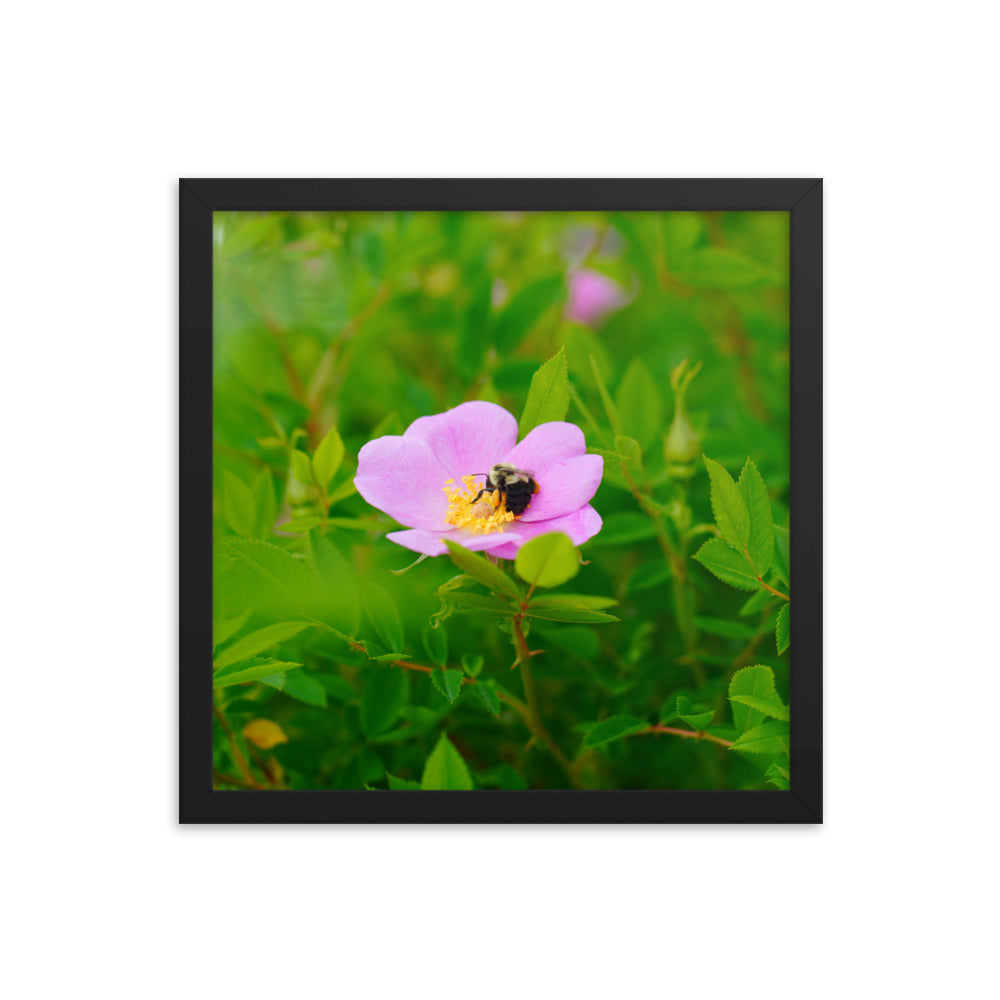 A Bee