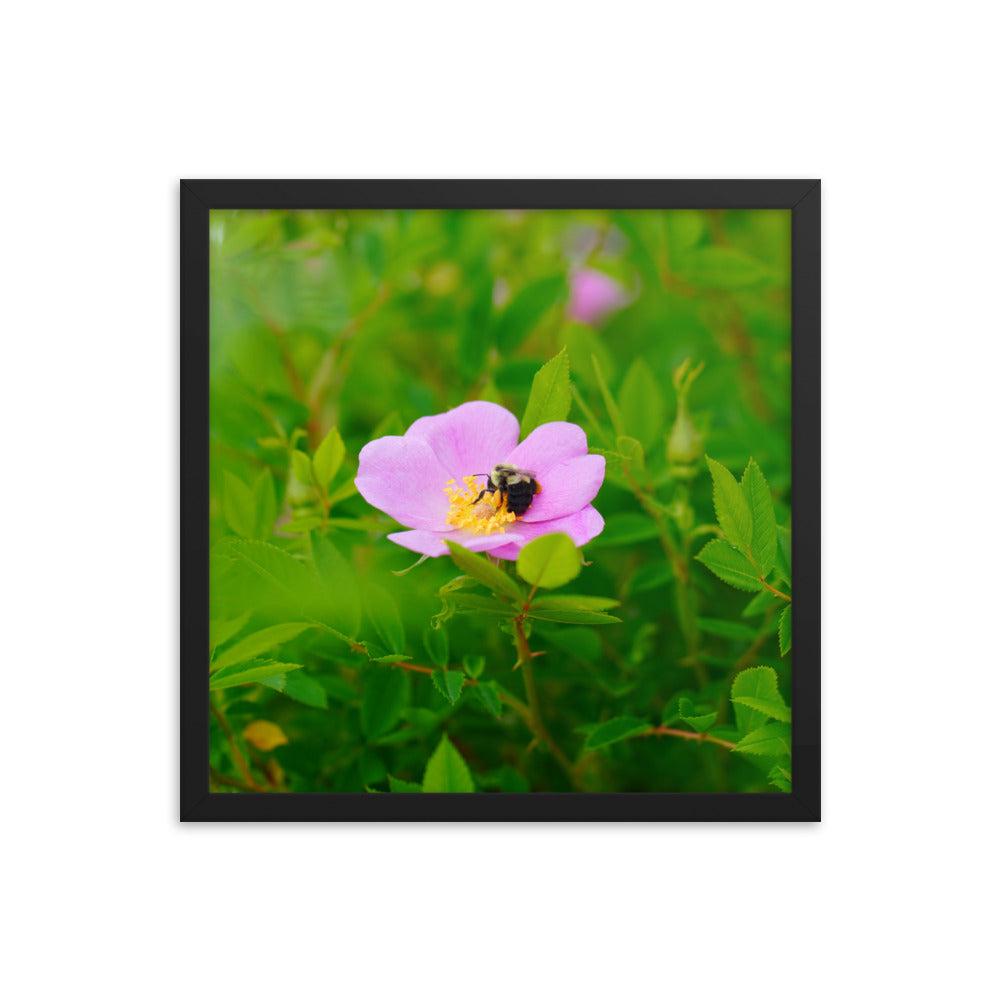 A Bee