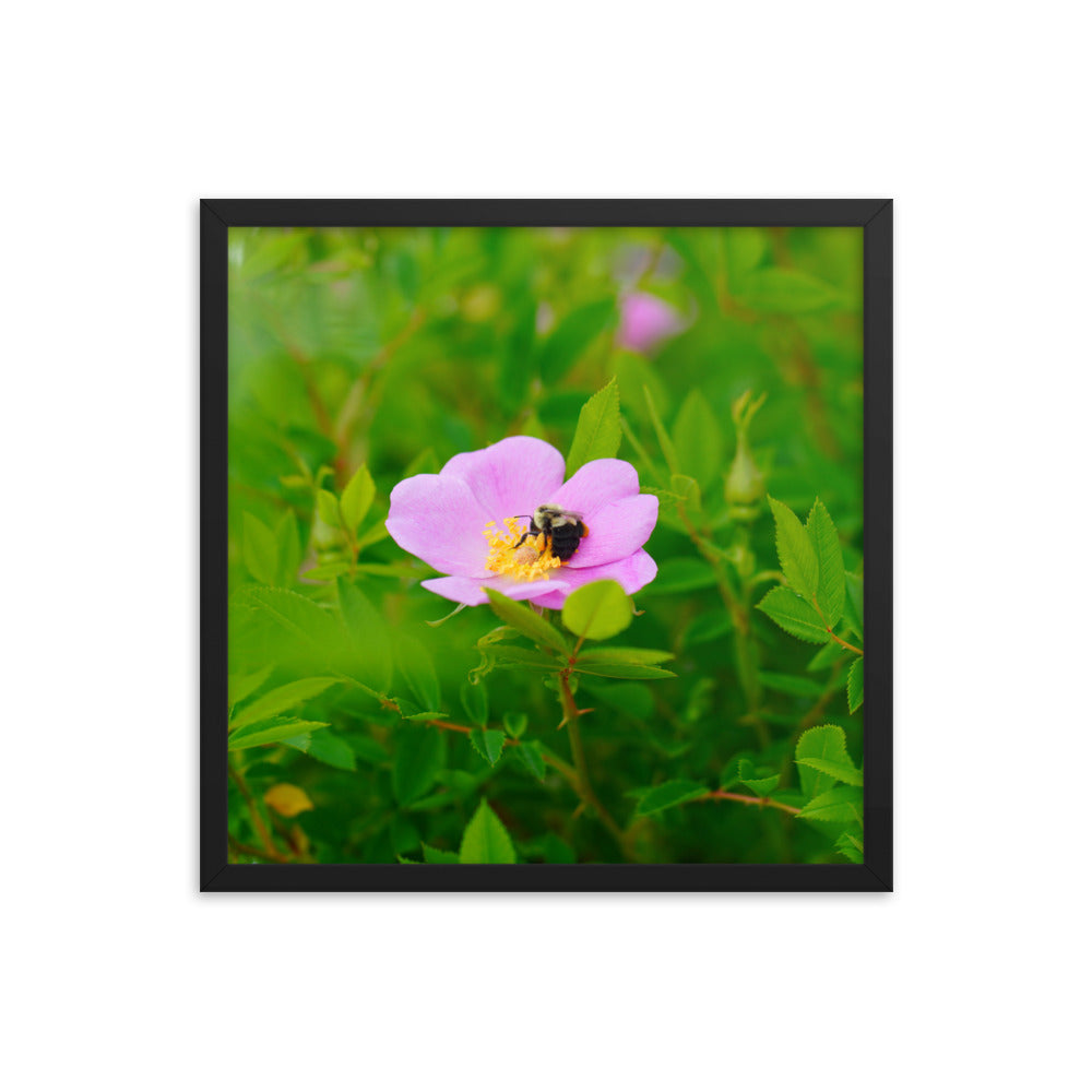 A Bee