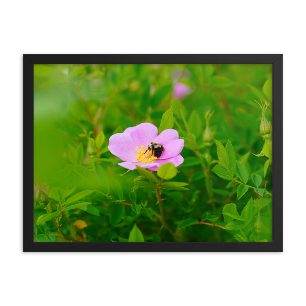 A Bee