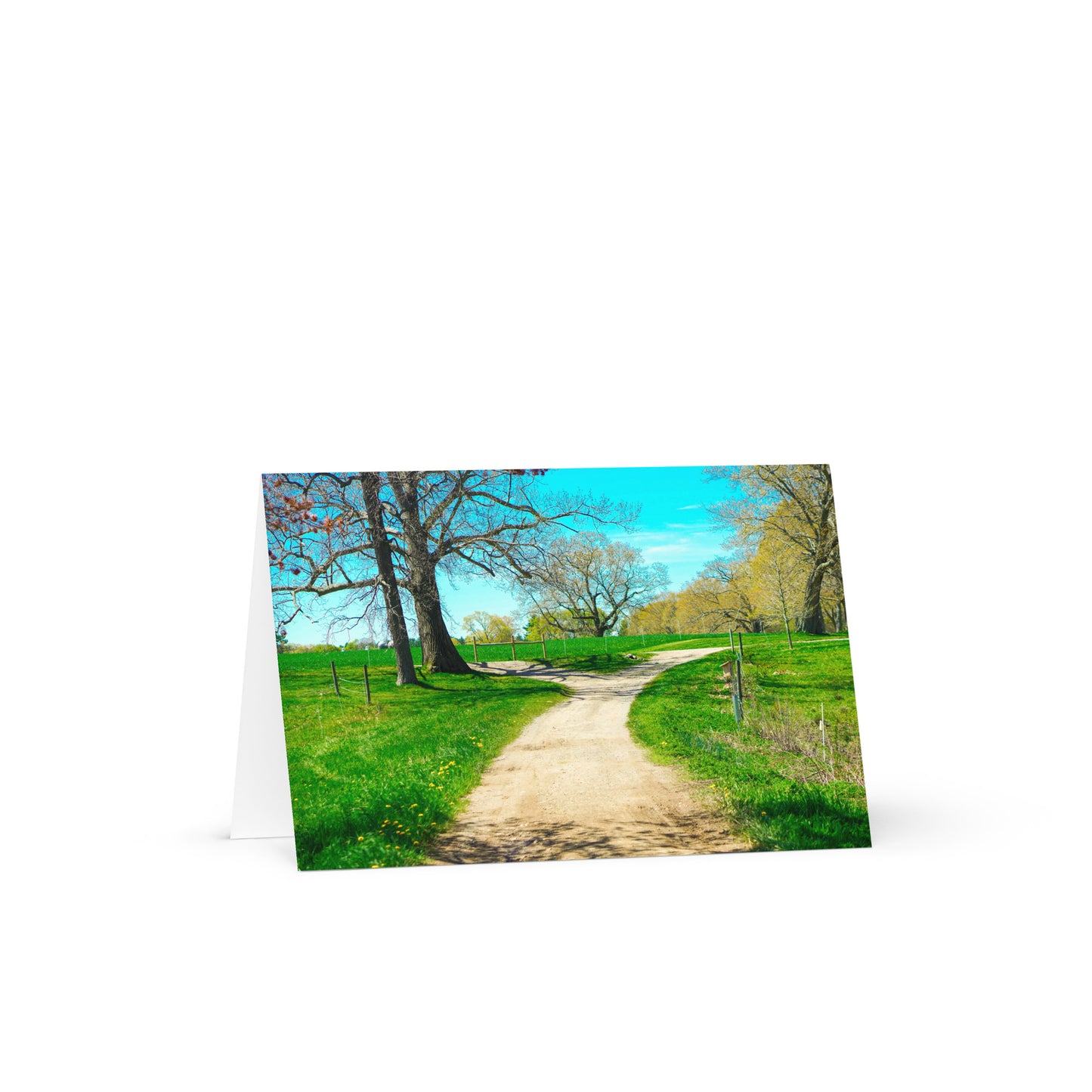 A Fork in the Road