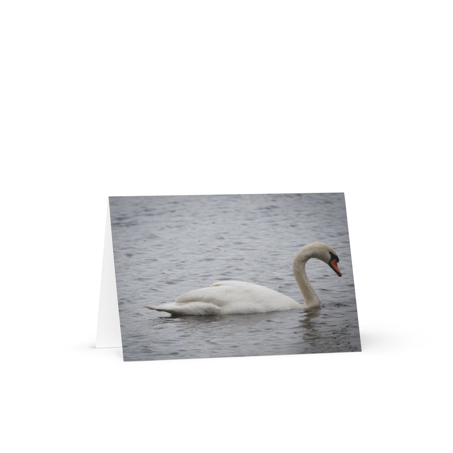 Swan