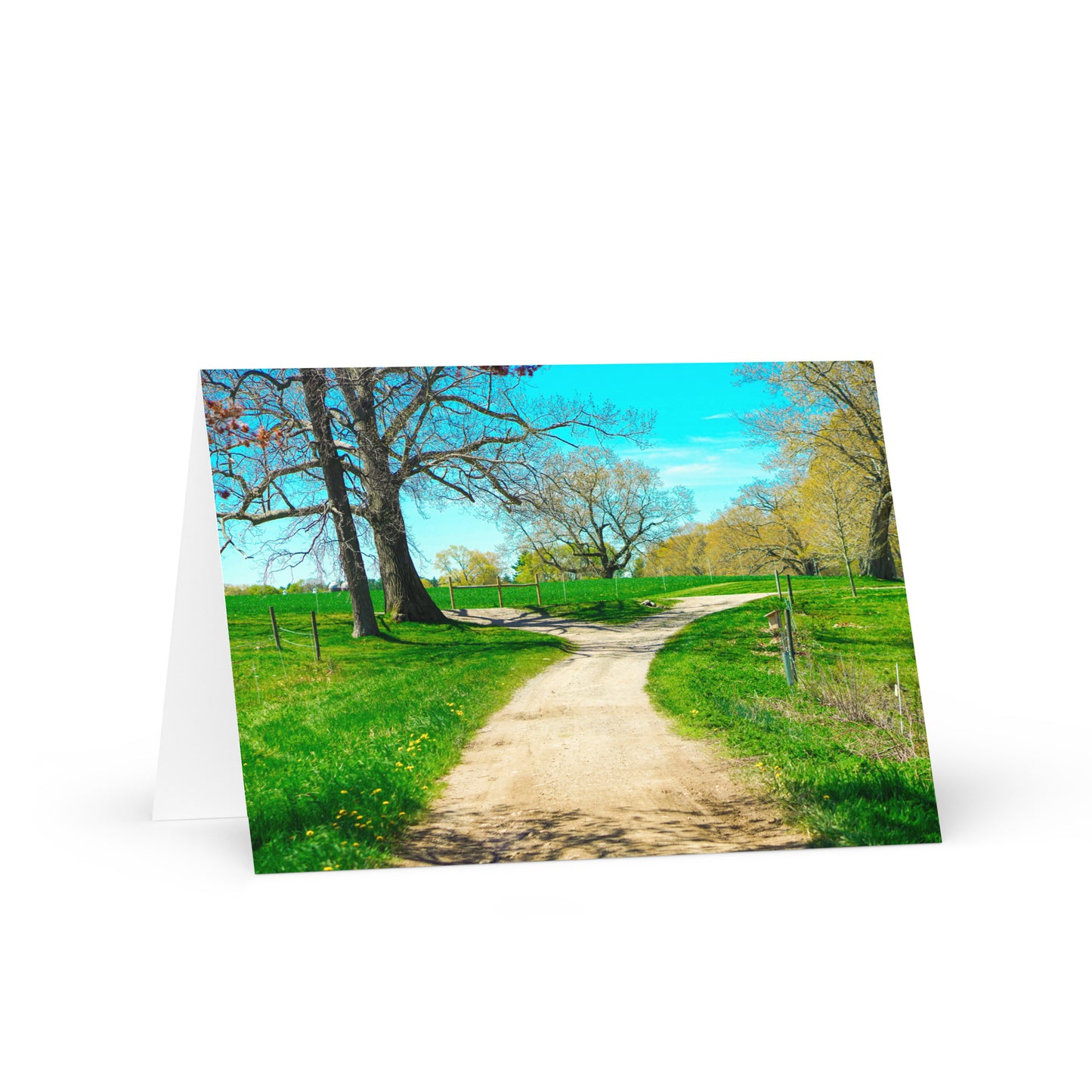 A Fork in the Road
