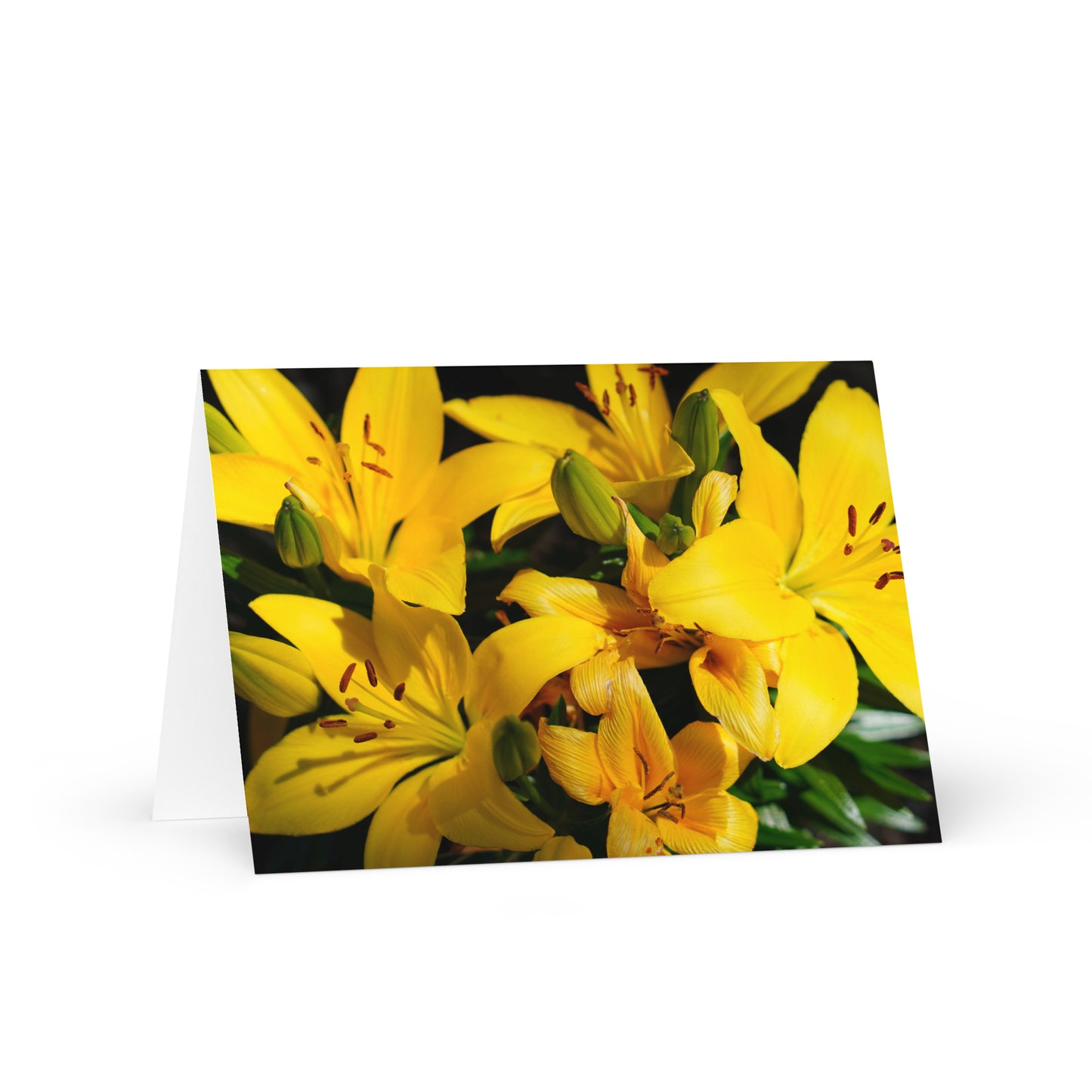 Lillys